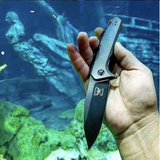 "The Privateer" Skallywag Folding Knife